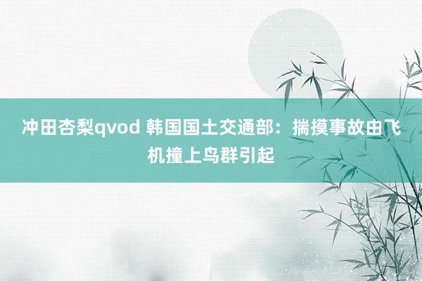 冲田杏梨qvod 韩国国土交通部：揣摸事故由飞机撞上鸟群引起