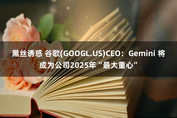 黑丝诱惑 谷歌(GOOGL.US)CEO：Gemini 将成为公司2025年“最大重心”