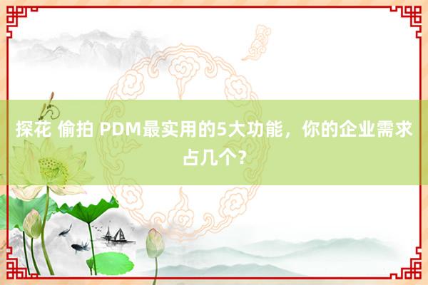 探花 偷拍 PDM最实用的5大功能，你的企业需求占几个？