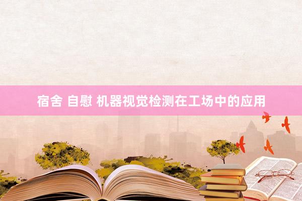 宿舍 自慰 机器视觉检测在工场中的应用