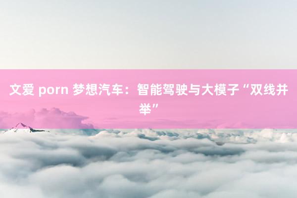 文爱 porn 梦想汽车：智能驾驶与大模子“双线并举”