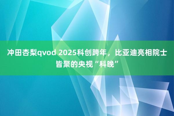 冲田杏梨qvod 2025科创跨年，比亚迪亮相院士皆聚的央视“科晚”