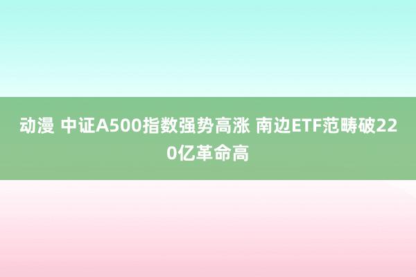 动漫 中证A500指数强势高涨 南边ETF范畴破220亿革命高