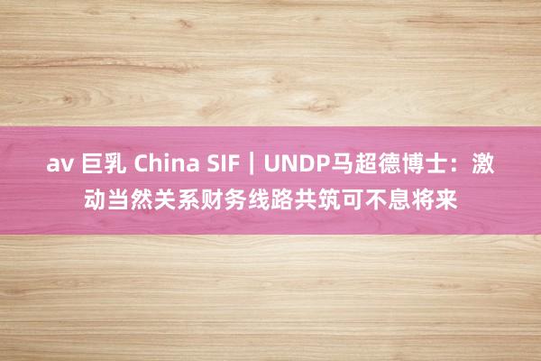 av 巨乳 China SIF｜UNDP马超德博士：激动当然关系财务线路　共筑可不息将来