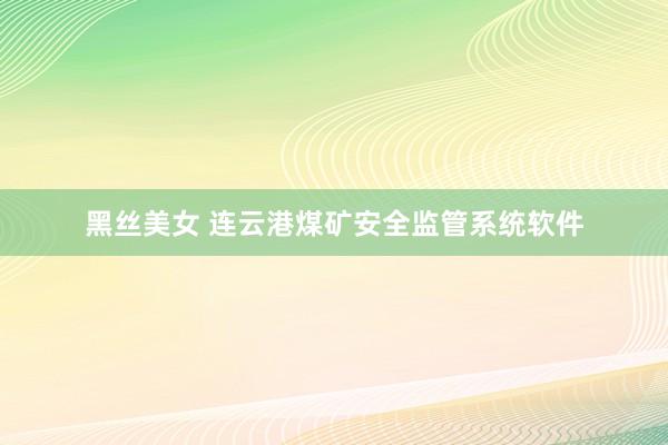黑丝美女 连云港煤矿安全监管系统软件