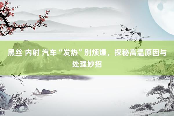 黑丝 内射 汽车“发热”别烦燥，探秘高温原因与处理妙招