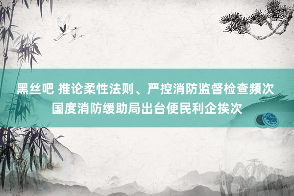 黑丝吧 推论柔性法则、严控消防监督检查频次 国度消防缓助局出台便民利企挨次