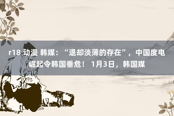 r18 动漫 韩媒：“退却淡薄的存在”，中国度电崛起令韩国垂危！ 1月3日，韩国媒
