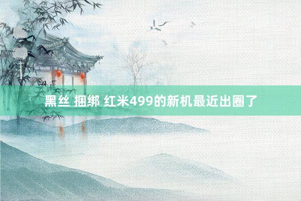 黑丝 捆绑 红米499的新机最近出圈了