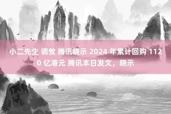 小二先生 调教 腾讯晓示 2024 年累计回购 1120 亿港元 腾讯本日发文，晓示