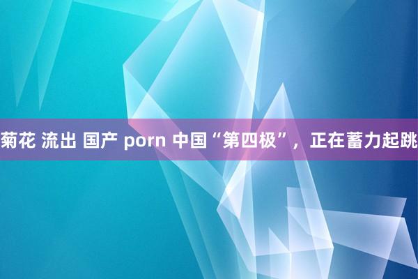 菊花 流出 国产 porn 中国“第四极”，正在蓄力起跳