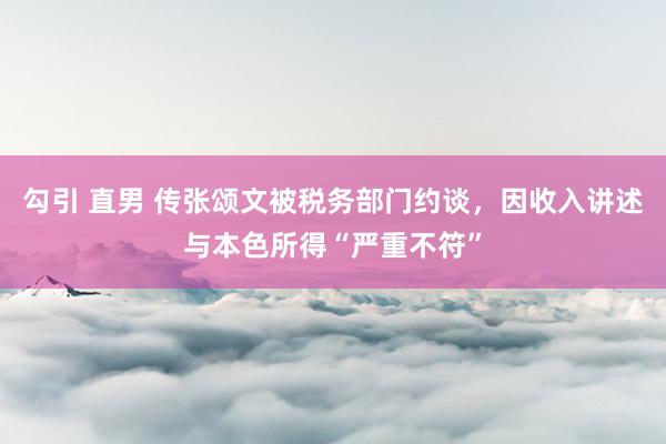 勾引 直男 传张颂文被税务部门约谈，因收入讲述与本色所得“严重不符”
