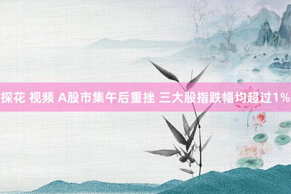 探花 视频 A股市集午后重挫 三大股指跌幅均超过1%