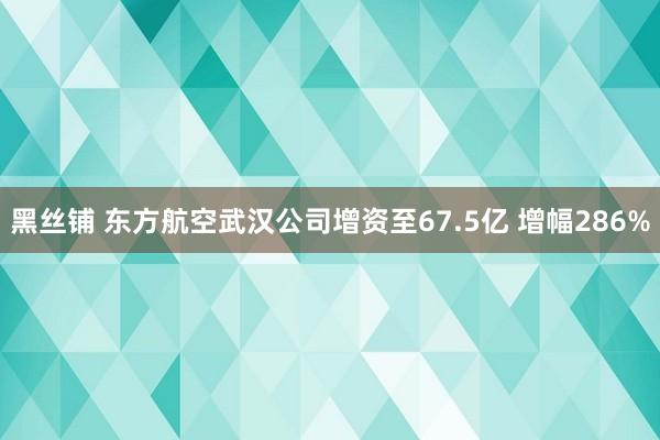 黑丝铺 东方航空武汉公司增资至67.5亿 增幅286%