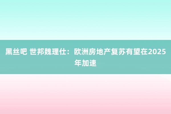 黑丝吧 世邦魏理仕：欧洲房地产复苏有望在2025年加速