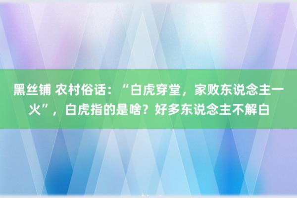 黑丝铺 农村俗话：“白虎穿堂，家败东说念主一火”，白虎指的是啥？好多东说念主不解白