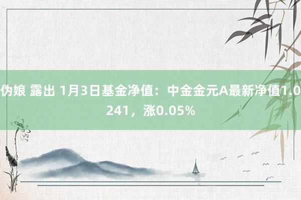 伪娘 露出 1月3日基金净值：中金金元A最新净值1.0241，涨0.05%