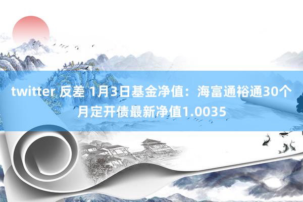 twitter 反差 1月3日基金净值：海富通裕通30个月定开债最新净值1.0035