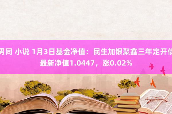 男同 小说 1月3日基金净值：民生加银聚鑫三年定开债最新净值1.0447，涨0.02%