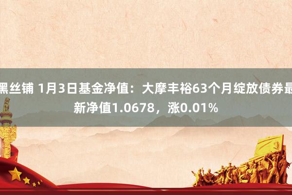 黑丝铺 1月3日基金净值：大摩丰裕63个月绽放债券最新净值1.0678，涨0.01%