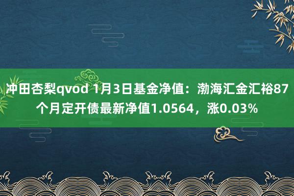 冲田杏梨qvod 1月3日基金净值：渤海汇金汇裕87个月定开债最新净值1.0564，涨0.03%