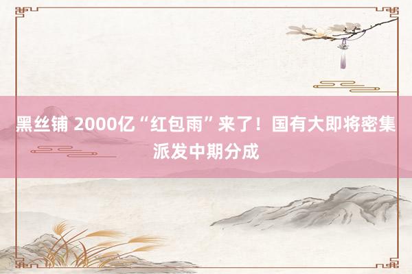 黑丝铺 2000亿“红包雨”来了！国有大即将密集派发中期分成