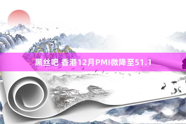 黑丝吧 香港12月PMI微降至51.1