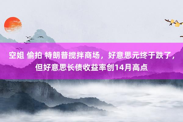 空姐 偷拍 特朗普搅拌商场，好意思元终于跌了，但好意思长债收益率创14月高点
