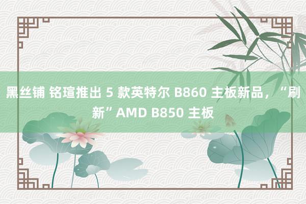 黑丝铺 铭瑄推出 5 款英特尔 B860 主板新品，“刷新”AMD B850 主板
