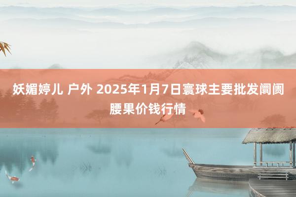 妖媚婷儿 户外 2025年1月7日寰球主要批发阛阓腰果价钱行情