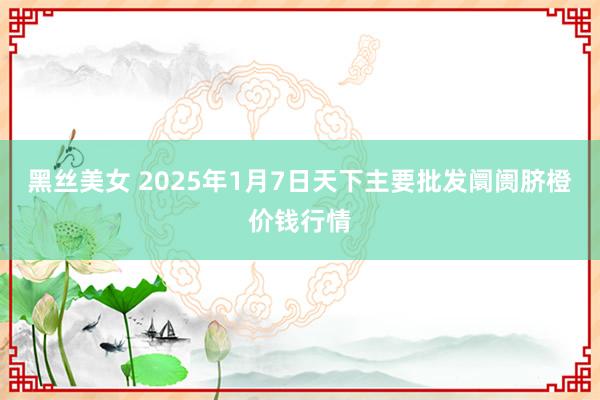 黑丝美女 2025年1月7日天下主要批发阛阓脐橙价钱行情