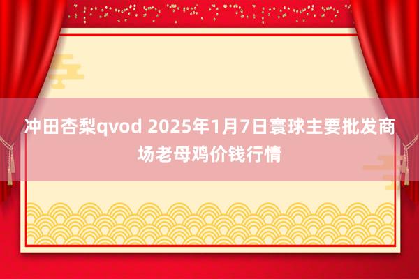 冲田杏梨qvod 2025年1月7日寰球主要批发商场老母鸡价钱行情