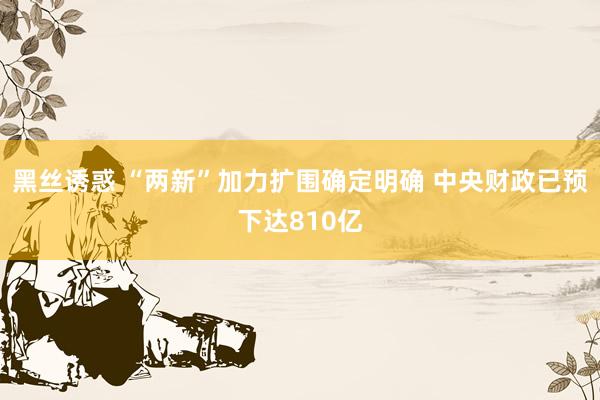 黑丝诱惑 “两新”加力扩围确定明确 中央财政已预下达810亿