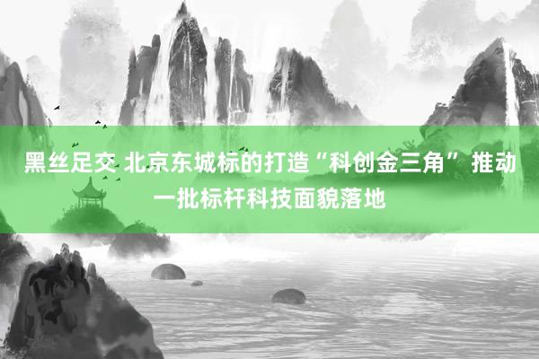 黑丝足交 北京东城标的打造“科创金三角” 推动一批标杆科技面貌落地