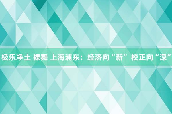极乐净土 裸舞 上海浦东：经济向“新” 校正向“深”