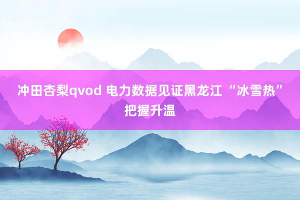 冲田杏梨qvod 电力数据见证黑龙江 “冰雪热”把握升温