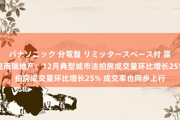 パナソニック 分電盤 リミッタースペース付 露出・半埋込両用形 克而瑞地产：12月典型城市法拍房成交