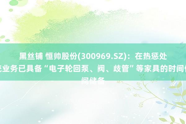 黑丝铺 恒帅股份(300969.SZ)：在热惩处系统业务已具备“电子轮回泵、阀、歧管”等家具的时间储