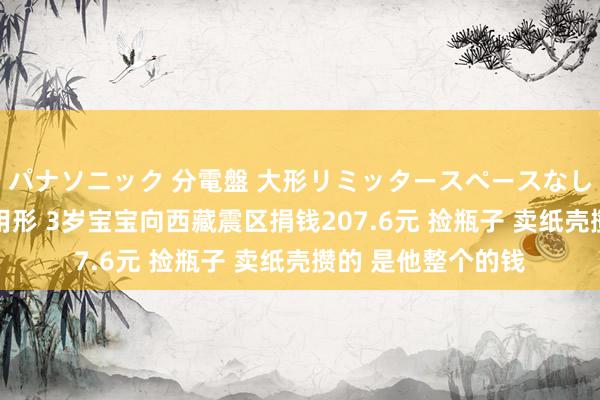 パナソニック 分電盤 大形リミッタースペースなし 露出・半埋込両用形 3岁宝宝向西藏震区捐钱207.