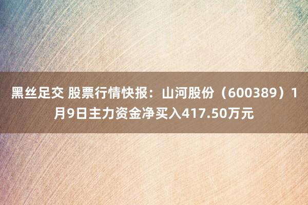黑丝足交 股票行情快报：山河股份（600389）1月9日主力资金净买入417.50万元