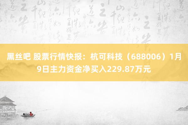 黑丝吧 股票行情快报：杭可科技（688006）1月9日主力资金净买入229.87万元
