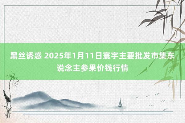 黑丝诱惑 2025年1月11日寰宇主要批发市集东说念主参果价钱行情
