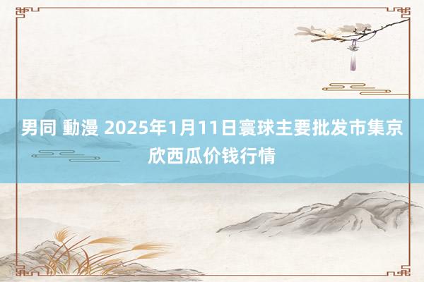男同 動漫 2025年1月11日寰球主要批发市集京欣西瓜价钱行情