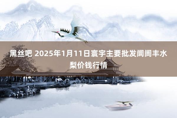 黑丝吧 2025年1月11日寰宇主要批发阛阓丰水梨价钱行情