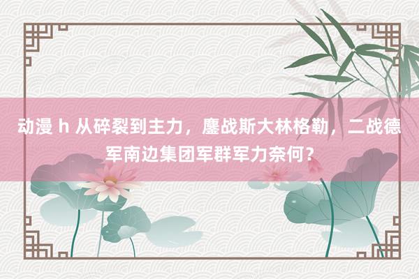 动漫 h 从碎裂到主力，鏖战斯大林格勒，二战德军南边集团军群军力奈何？