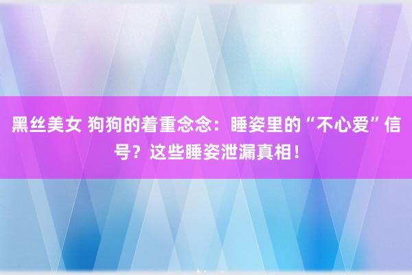 黑丝美女 狗狗的着重念念：睡姿里的“不心爱”信号？这些睡姿泄漏真相！