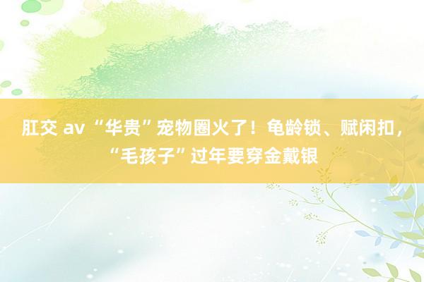 肛交 av “华贵”宠物圈火了！龟龄锁、赋闲扣，“毛孩子”过年要穿金戴银
