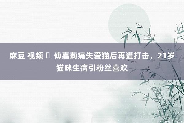 麻豆 视频 ‌傅嘉莉痛失爱猫后再遭打击，21岁猫咪生病引粉丝喜欢