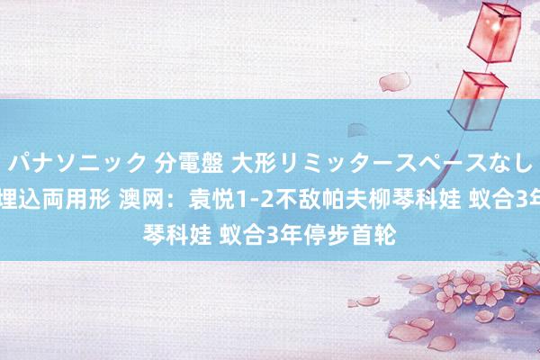 パナソニック 分電盤 大形リミッタースペースなし 露出・半埋込両用形 澳网：袁悦1-2不敌帕夫柳琴科