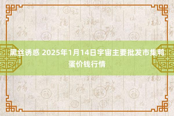 黑丝诱惑 2025年1月14日宇宙主要批发市集鸭蛋价钱行情